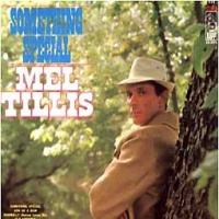 Mel Tillis - Something Special